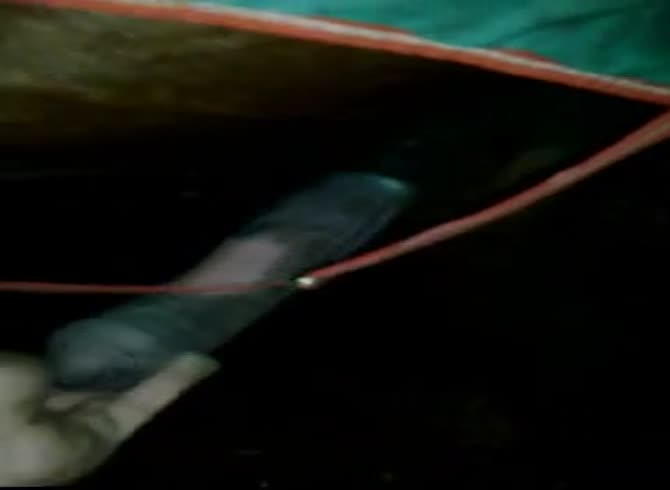 Video :Horse dick got sucked and deepthroated by kinky whore